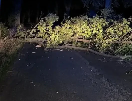 Silny wiatr na powiecie strzelińskim: powalone drzewa blokują drogę