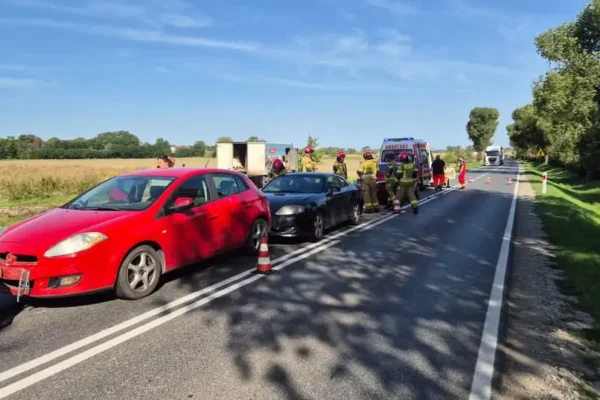 Zderzenie czterech aut na DW395 pod Strzelinem. Dwie osoby ranne, droga była zablokowana