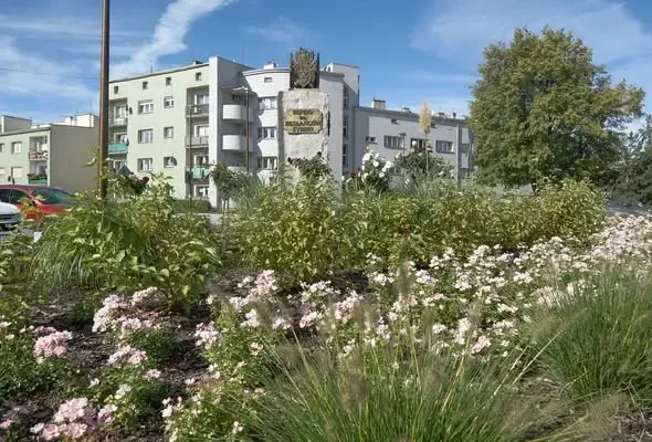 Strzelińskie Rondo im. Zesłańców Sybiru po przebudowie – nowe nasadzenia i modernizacja