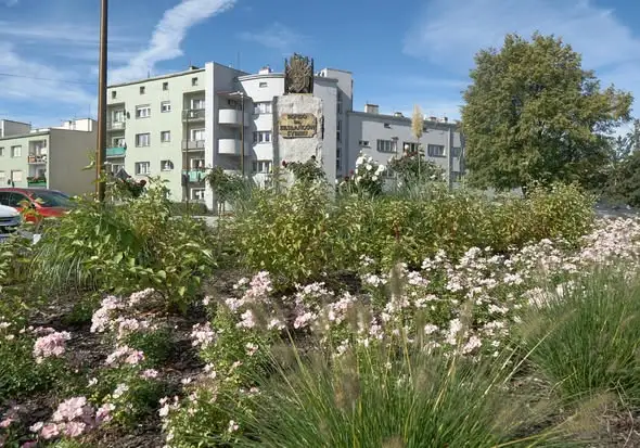 Strzelińskie Rondo im. Zesłańców Sybiru po przebudowie – nowe nasadzenia i modernizacja