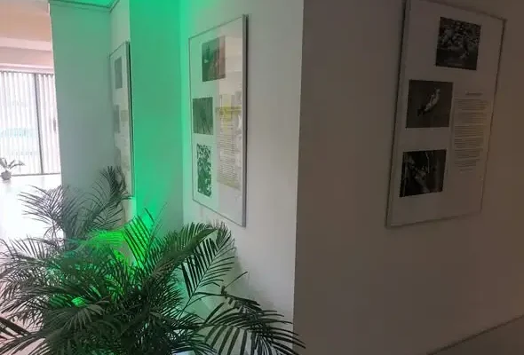Wystawa fotografii „Skrzydła Północnego Zachodu” w bibliotece w Gliniance