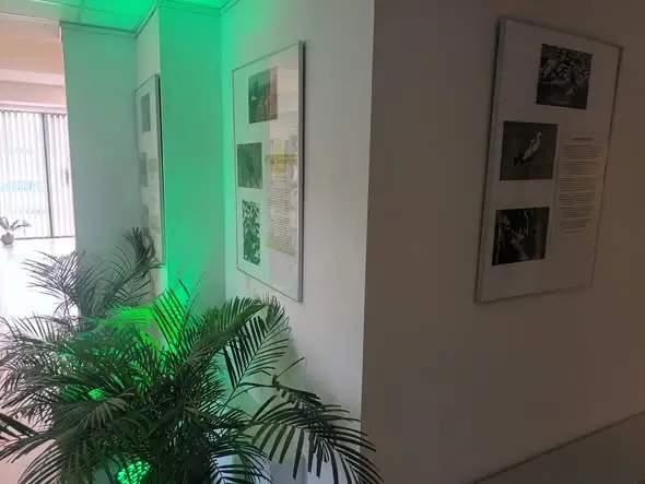 Wystawa fotografii „Skrzydła Północnego Zachodu” w bibliotece w Gliniance