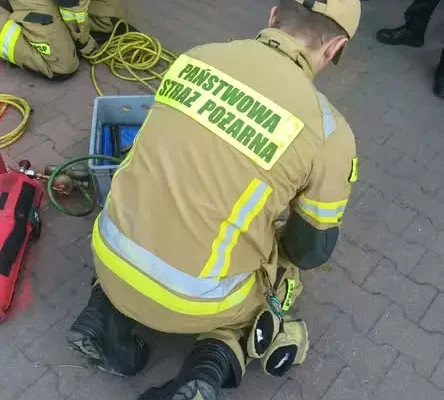 Jeż uwięziony pod paczkomatem przy ul. Dzierżoniowskiej — uratowany przez strażaków