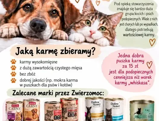 Zbiórka karmy dla zwierząt ze stowarzyszenia „Zwierzomoc” w Strzelnie