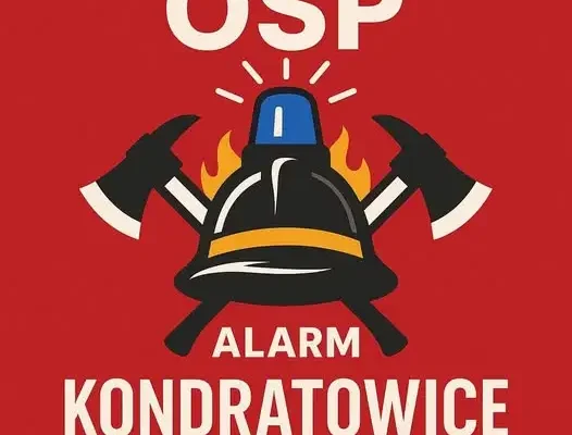 Gniazdo szerszeni na budynku Gminnego Ośrodka Kultury w Kondratowicach
